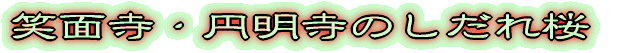 �Ζʎ��E�~�����̂������ 